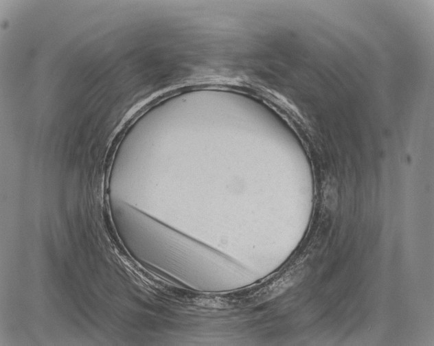 X0000081611220200702051346