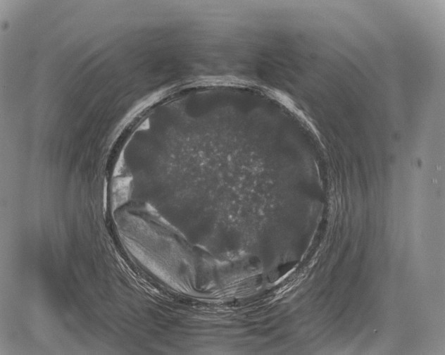 X0000081611221200702051346