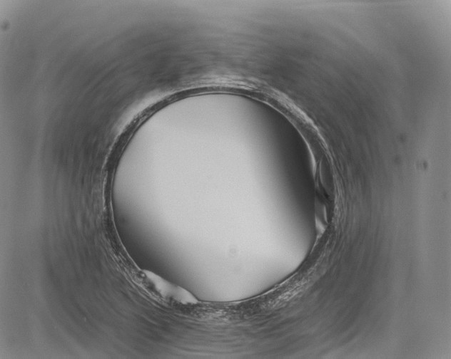 X0000081611222200702051346