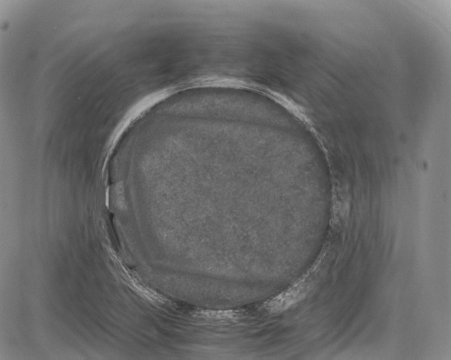 X0000081611223200702051346