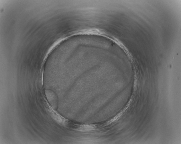 X0000081611224200702051346