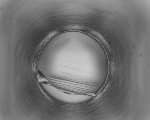 X0000081611225200702051346