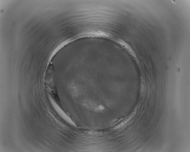 X0000081611226200702051346