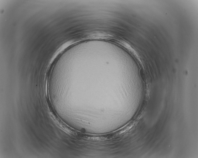 X0000081611227200702051346