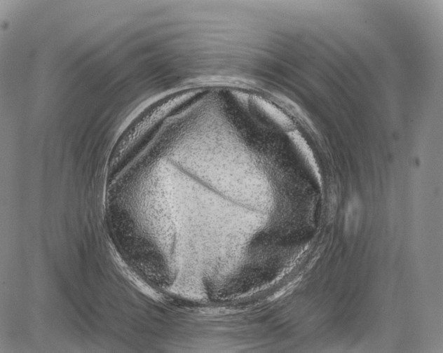 X0000081611228200702051346