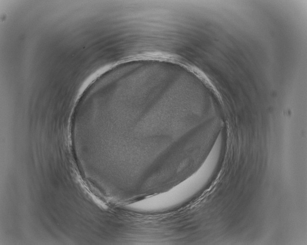 X0000081611230200702051346