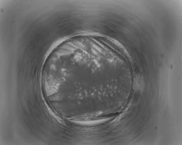 X0000081611231200702051346