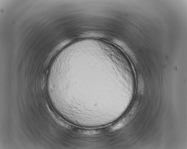 X0000081611233200702051346