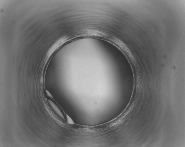 X0000081611234200702051346