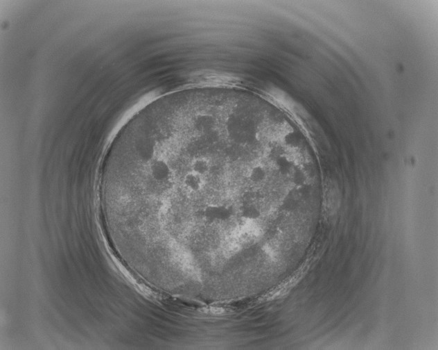 X0000081611235200702051346