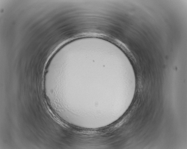 X0000081611236200702051346