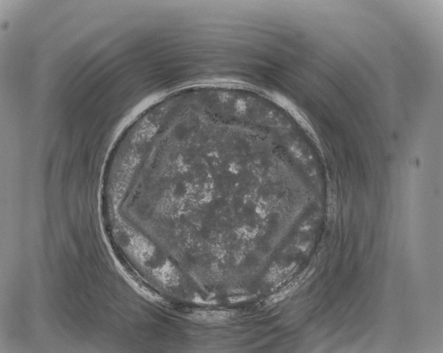 X0000081611237200702051346