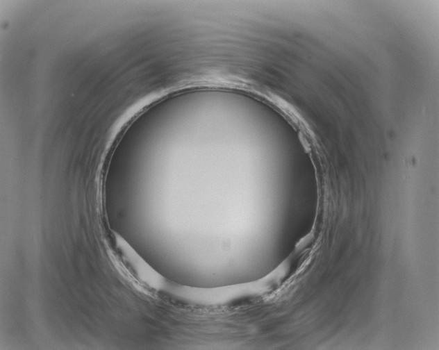 X0000081611238200702051346