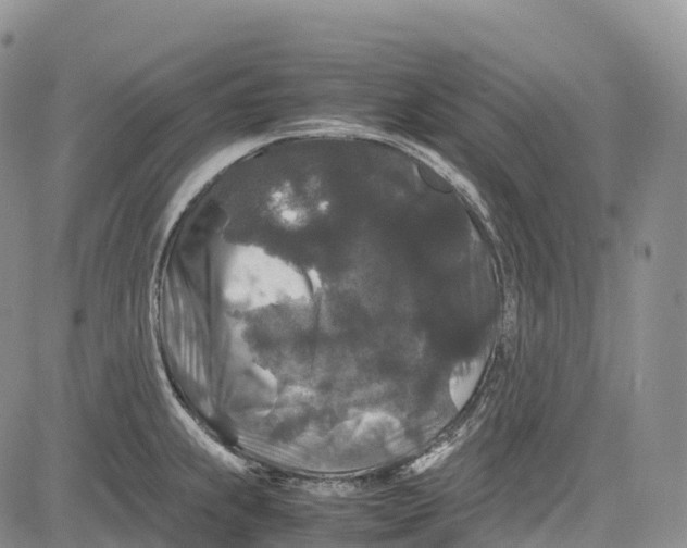 X0000081611239200702051346