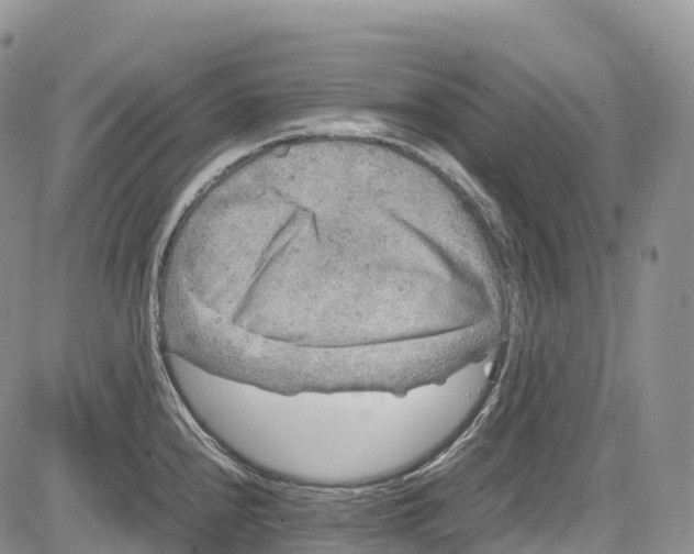 X0000081611240200702051346