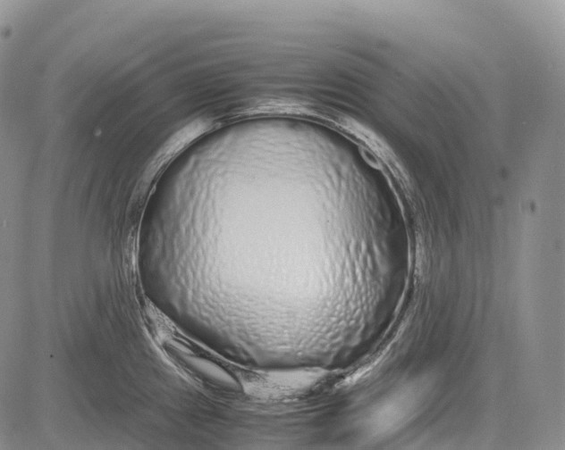 X0000081611241200702051346