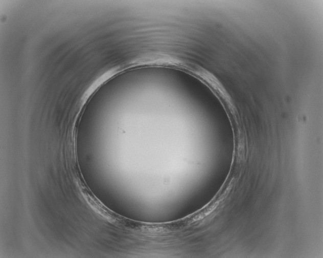 X0000081611242200702051346