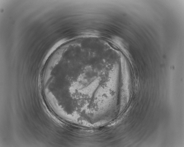 X0000081611243200702051346