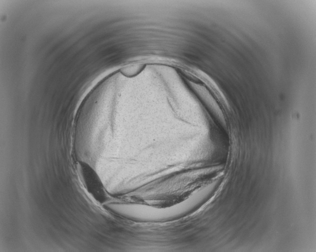 X0000081611244200702051346