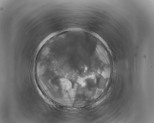 X0000081611245200702051346