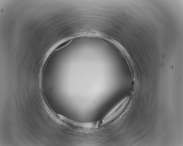 X0000081611246200702051346