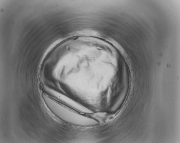 X0000081611248200702051346