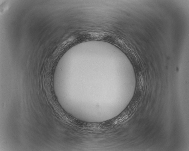 X0000081611249200702051345