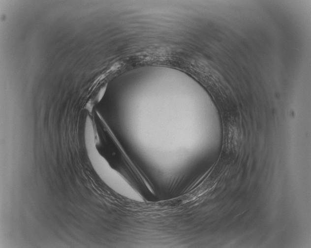 X0000081611250200702051345