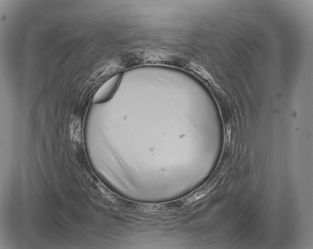 X0000081611251200702051345