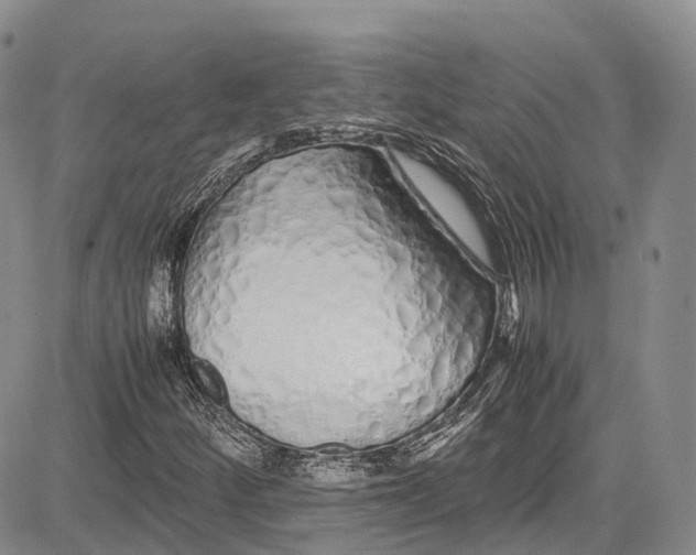 X0000081611252200702051345