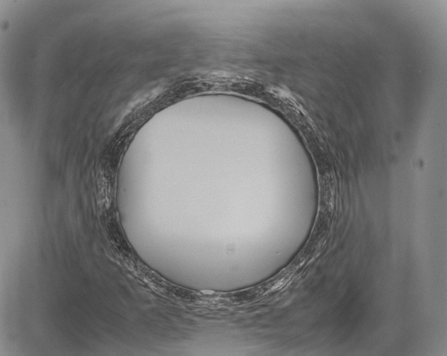 X0000081611253200702051345