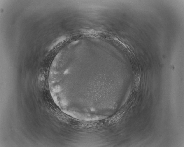 X0000081611254200702051345