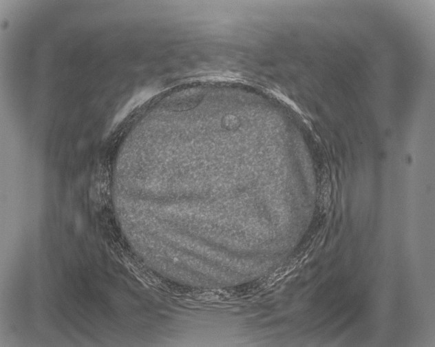 X0000081611255200702051345