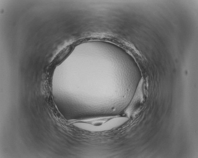 X0000081611256200702051345