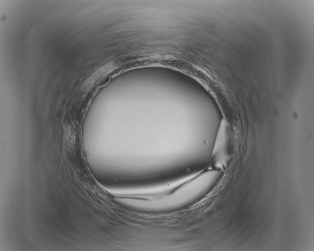 X0000081611257200702051345