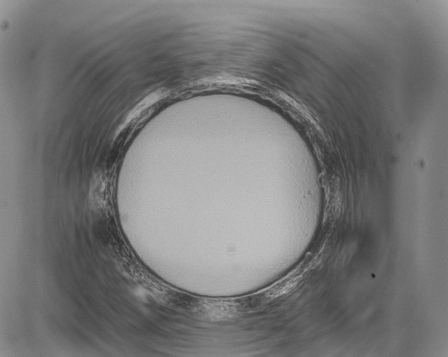 X0000081611258200702051345