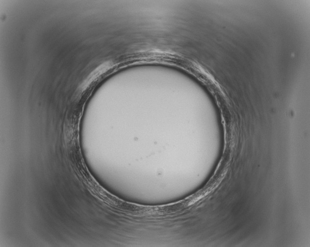 X0000081611259200702051345