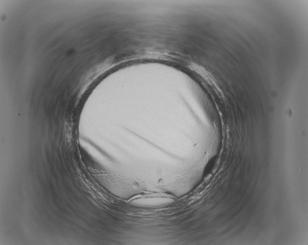 X0000081611260200702051345