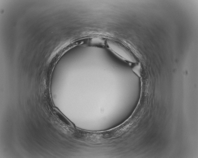 X0000081611261200702051345