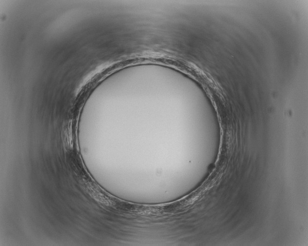 X0000081611262200702051345