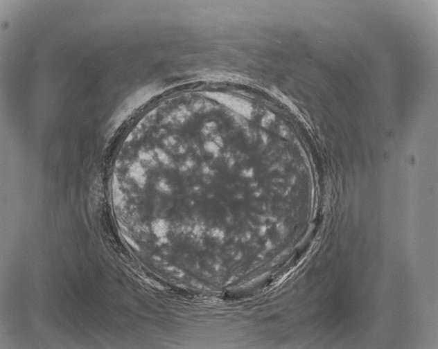 X0000081611263200702051345