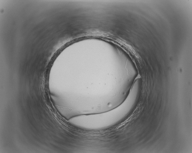 X0000081611264200702051345