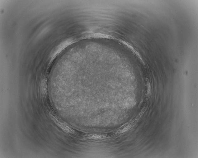 X0000081611266200702051345