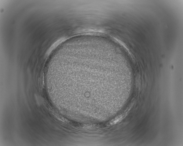 X0000081611267200702051345