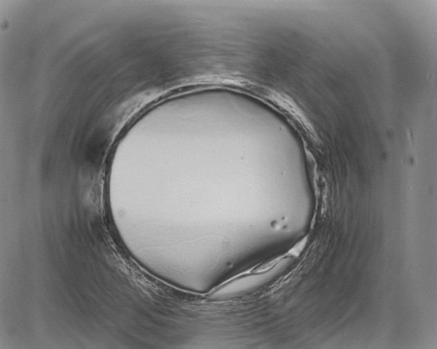 X0000081611268200702051345