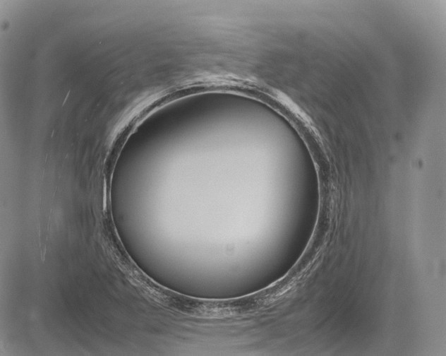 X0000081611269200702051345