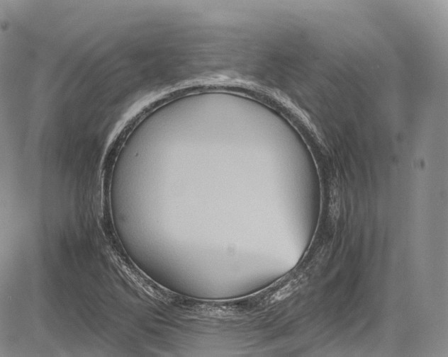 X0000081611270200702051345