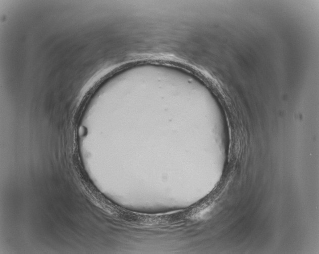 X0000081611271200702051345