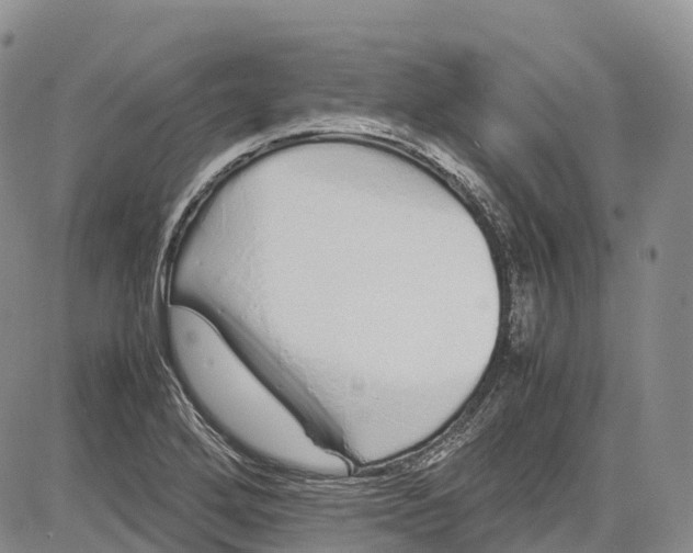 X0000081611272200702051345