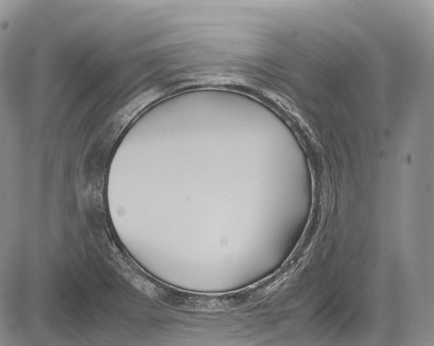 X0000081611273200702051345